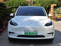 Tesla Model Y Edition - фото 2