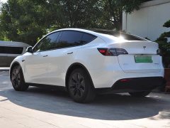 Tesla Model Y Edition - фото 3