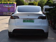 Tesla Model Y Edition - фото 4