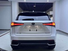Lexus NX 2020 200 AWD Fengshang Edition National VI - фото 11