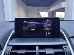 Lexus NX 2020 200 AWD Fengshang Edition National VI - фото 12