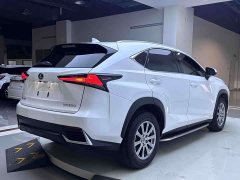 Lexus NX 2020 200 AWD Fengshang Edition National VI - фото 4