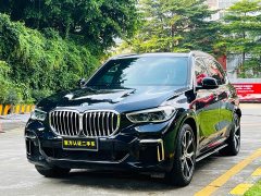 BMW X5 xDrive 40Li M - фото 1