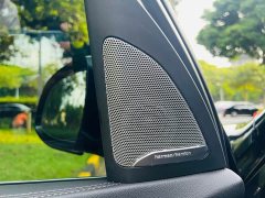 BMW X5 xDrive 40Li M - фото 10