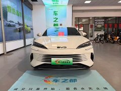 BYD 07 DM-i 1.5L 125km Version - фото 2