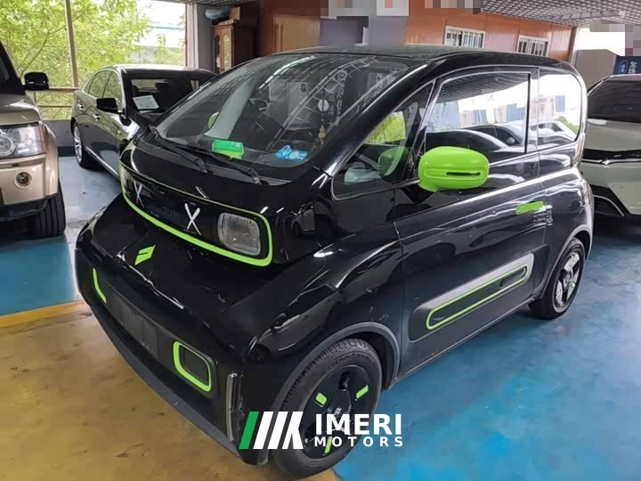 BYD KiWi EV Edition