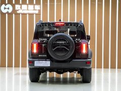 Tank 300 Off-Road Edition 2.0T - фото 15