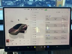 Tesla Model 3 Edition - фото 8