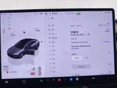Tesla Model 3 Edition - фото 10