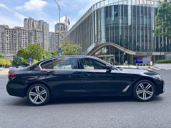 BMW 5 530Li Version Luxury - фото 19