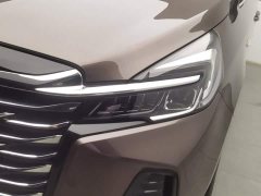 Buick GL8 Version - фото 7