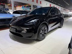 Tesla Model Y Edition - фото 1