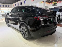 Tesla Model Y Edition - фото 15