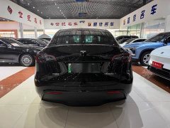 Tesla Model Y Edition - фото 16