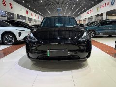Tesla Model Y Edition - фото 2