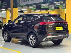 Haval H6 1.5T Edition - фото 5