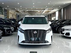 Buick GL8 ES Deluxe Version - фото 3