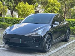 Tesla Model Y Edition - фото 1