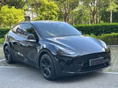 Tesla Model Y Edition - фото 3