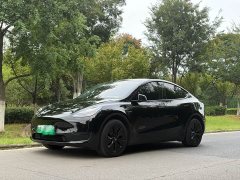 Tesla Model Y Edition - фото 1