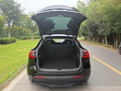 Tesla Model Y Edition - фото 11