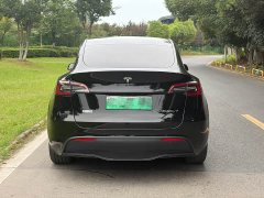Tesla Model Y Edition - фото 13