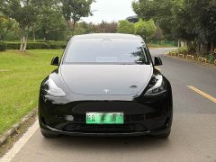 Tesla Model Y Edition - фото 2