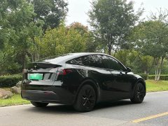 Tesla Model Y Edition - фото 3