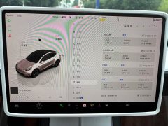 Tesla Model Y Edition - фото 4