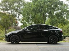 Tesla Model Y Edition - фото 9