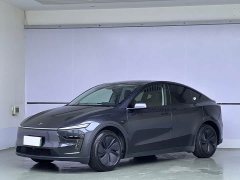 Tesla Model Y Edition - фото 1