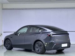 Tesla Model Y Edition - фото 4