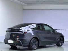 Tesla Model Y Edition - фото 6