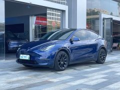 Tesla Model Y Long Range Edition - фото 1