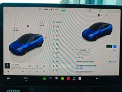 Tesla Model Y Long Range Edition - фото 10