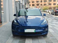 Tesla Model Y Long Range Edition - фото 15