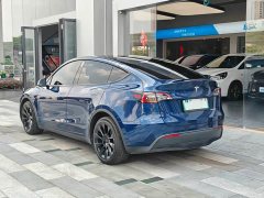 Tesla Model Y Long Range Edition - фото 16