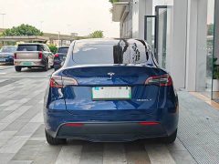 Tesla Model Y Long Range Edition - фото 17