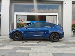 Tesla Model Y Long Range Edition - фото 3