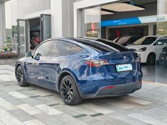 Tesla Model Y Long Range Edition - фото 4