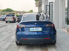 Tesla Model Y Long Range Edition - фото 5