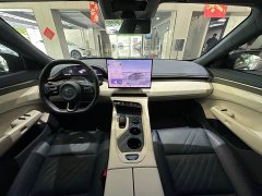 Zeekr 001 YOU Edition 100kWh AWD - фото 17
