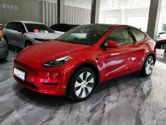Tesla Model Y Edition - фото 1