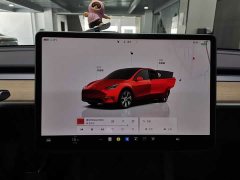 Tesla Model Y Edition - фото 12