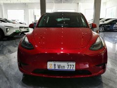 Tesla Model Y Edition - фото 2