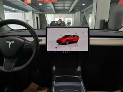 Tesla Model Y Edition - фото 20