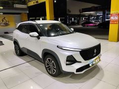 Baojun RS-3 1.5L CVT Version - фото 2