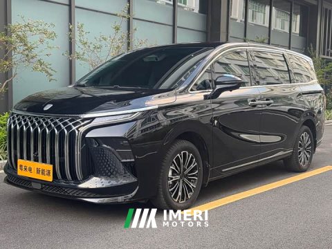 2025 Great V9 1.5TD 200km Luxury Version - автомобиль из Китая