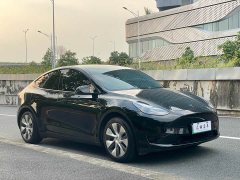 Tesla Model Y Edition - фото 3