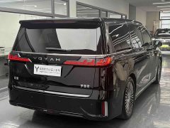 Voyah PHEV AWDFlagship Edition - фото 14
